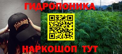 спайс Кандалакша