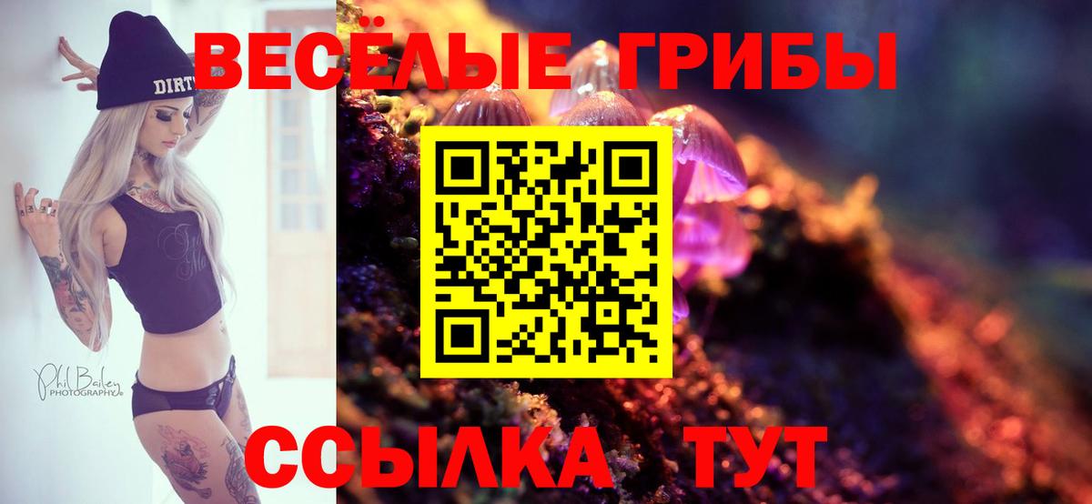 Галлюциногенные грибы Magic Shrooms  Вход с VPN  Лесной 