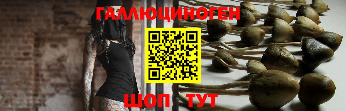 Галлюциногенные грибы прущие грибы Лесной